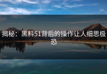 揭秘：黑料51背后的操作让人细思极恐