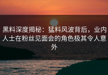 黑料深度揭秘：猛料风波背后，业内人士在粉丝见面会的角色极其令人意外
