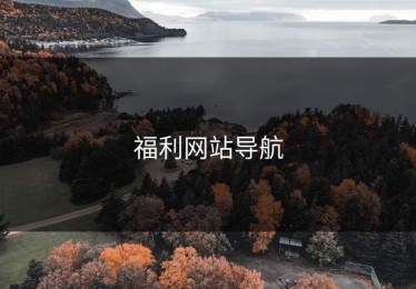 福利网站导航