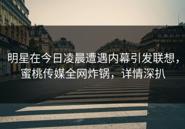 明星在今日凌晨遭遇内幕引发联想，蜜桃传媒全网炸锅，详情深扒