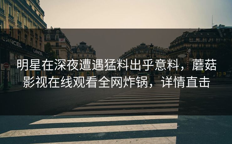 明星在深夜遭遇猛料出乎意料，蘑菇影视在线观看全网炸锅，详情直击