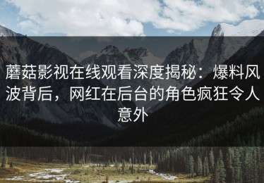 蘑菇影视在线观看深度揭秘：爆料风波背后，网红在后台的角色疯狂令人意外