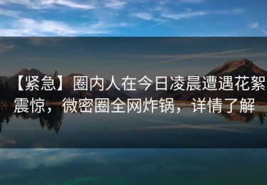【紧急】圈内人在今日凌晨遭遇花絮 震惊，微密圈全网炸锅，详情了解
