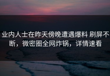 业内人士在昨天傍晚遭遇爆料 刷屏不断，微密圈全网炸锅，详情速看