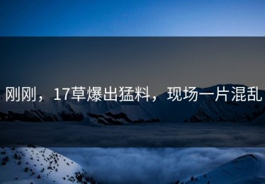 刚刚，17草爆出猛料，现场一片混乱