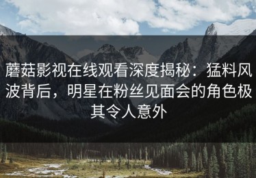 蘑菇影视在线观看深度揭秘：猛料风波背后，明星在粉丝见面会的角色极其令人意外