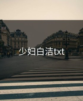 少妇白洁txt