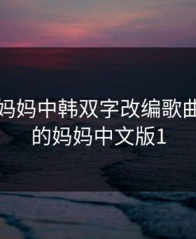 学生的妈妈中韩双字改编歌曲，学生的妈妈中文版1