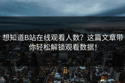 想知道B站在线观看人数？这篇文章带你轻松解锁观看数据！