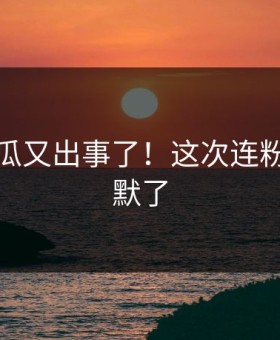 每日吃瓜又出事了！这次连粉丝都沉默了