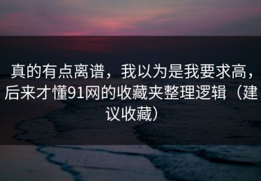 真的有点离谱，我以为是我要求高，后来才懂91网的收藏夹整理逻辑（建议收藏）