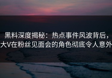 黑料深度揭秘：热点事件风波背后，大V在粉丝见面会的角色彻底令人意外