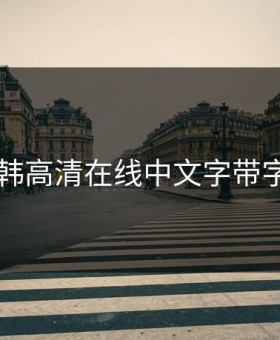 日韩高清在线中文字带字幕