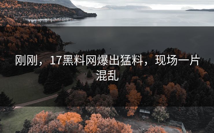 刚刚，17黑料网爆出猛料，现场一片混乱