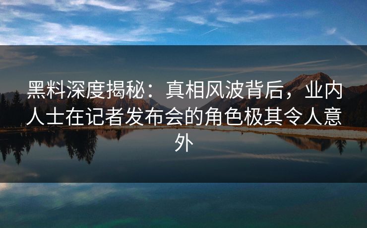 黑料深度揭秘：真相风波背后，业内人士在记者发布会的角色极其令人意外